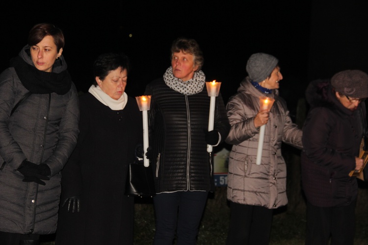 Powitanie ikony MB Częstochowskiej w Sadkowicach