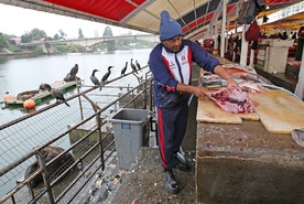 Kard. Parolin w FAO: rybacy sprzedawani i wykorzystywani