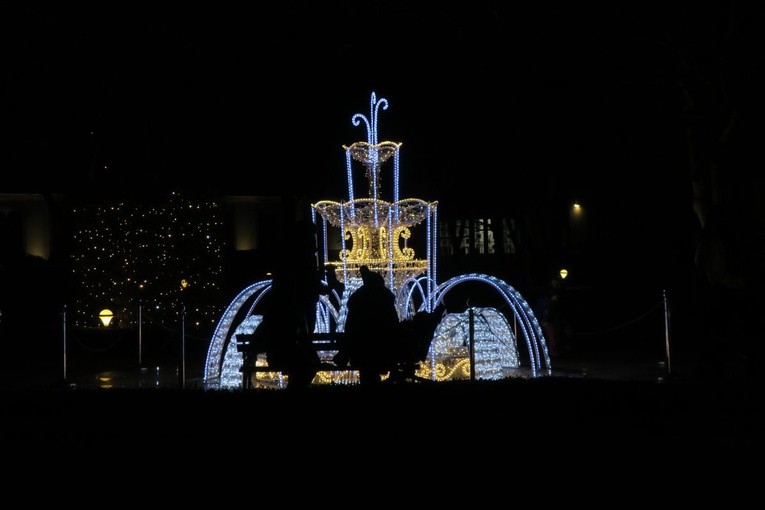 Rozświetlony Park Oliwski