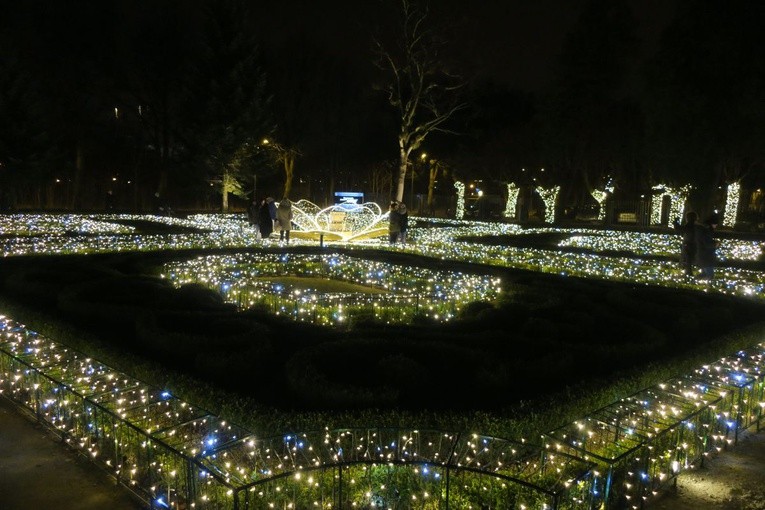 Rozświetlony Park Oliwski