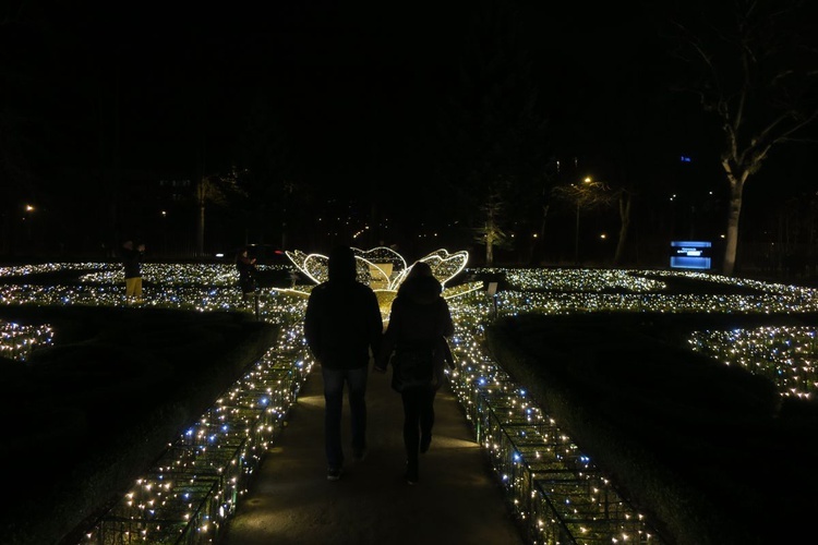 Rozświetlony Park Oliwski