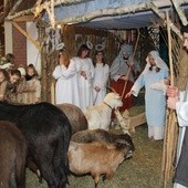 W szopce w kościele są żywe zwierzęta, a młodzież odgrywa rolę pastuszków, św. Józefa i Maryi