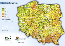 Nieznaczny wzrost praktyk religijnych