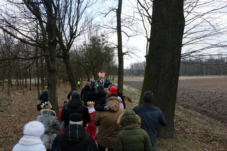 Orszak Trzech Króli w Brzegu Dolnym