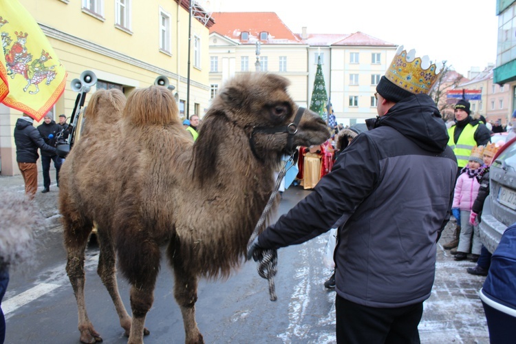 Orszak Trzech Króli w Oleśnicy