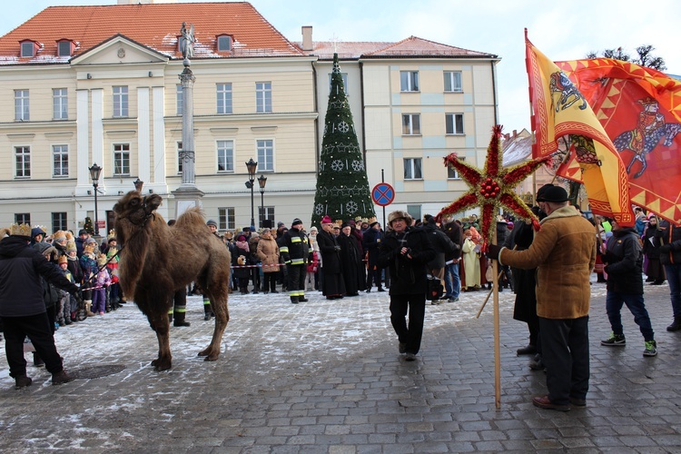 Orszak Trzech Króli w Oleśnicy