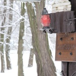 Parafia karmelitów w Lipinach