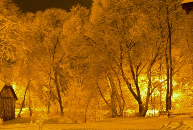 Matki Bożej Gromnicznej w Muzeum Wsi Radomskiej