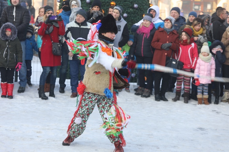 Gody Żywieckie w obiektywie - 2017