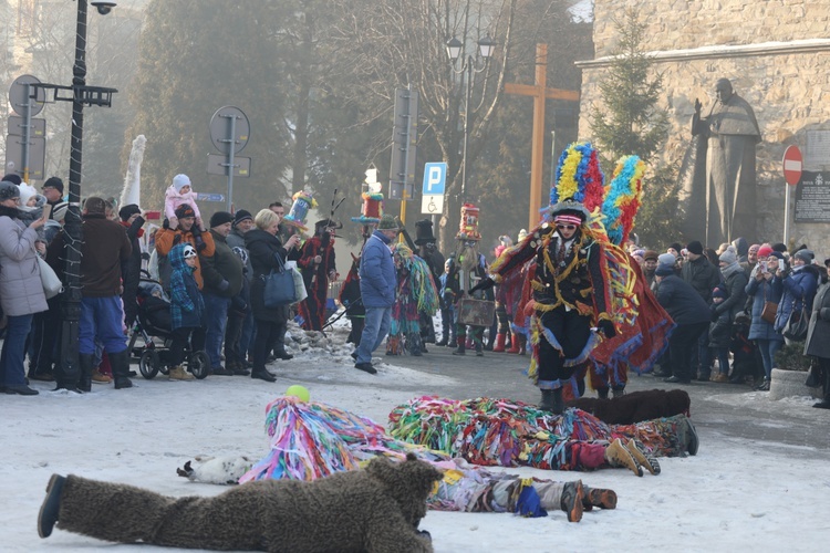 Gody Żywieckie w obiektywie - 2017