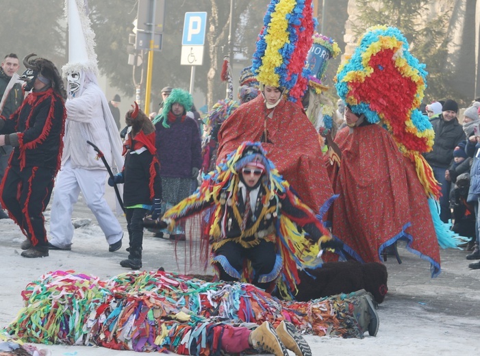 Gody Żywieckie w obiektywie - 2017