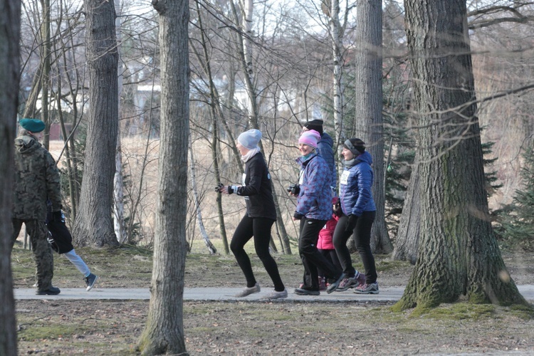 Trop wiódł przez Park Norweski