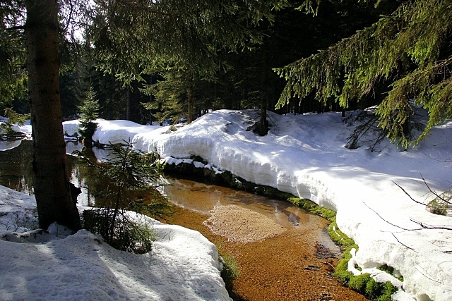 Bieg Piastów po raz 41.