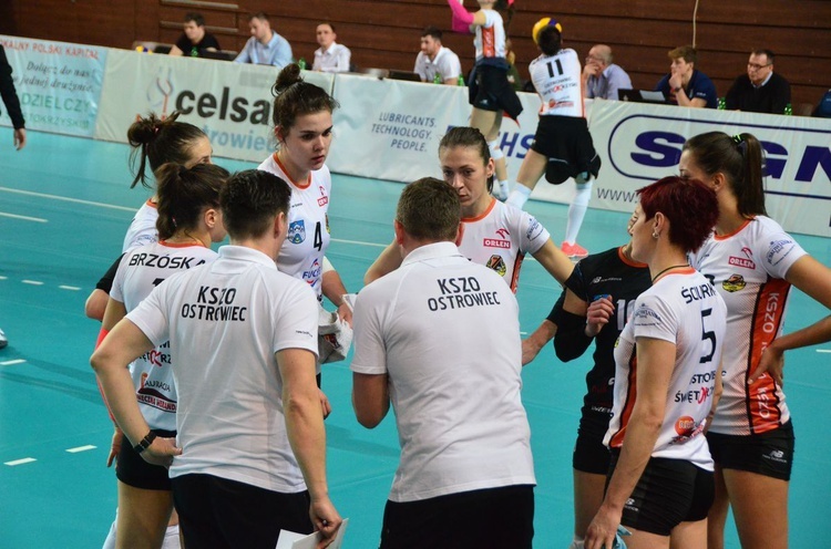 Mecz KSZO Ostrowiec kontra Atom Trefl Sopot 