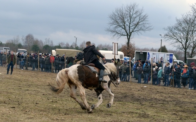 Jarmark Koński w Skaryszewie