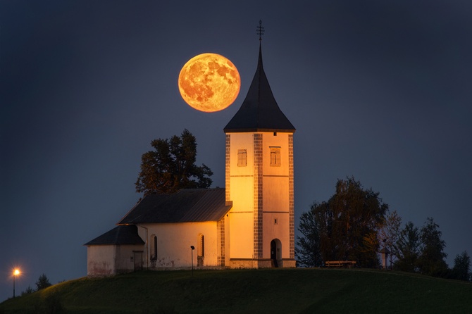 Piękno stworzenia w obiektywie