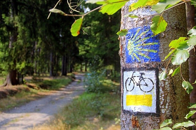 Camino czeka na swoich strażników