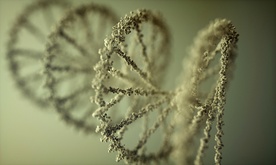 Dane w DNA?