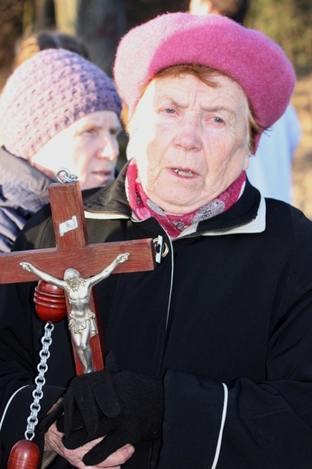 Powitanie ikony MB Czestochowskiej w Kamionie Sochaczewskim