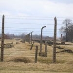 Droga Krzyżowa w intencji trzeźwości w byłym KL Birkenau 2017