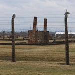 Droga Krzyżowa w intencji trzeźwości w byłym KL Birkenau 2017