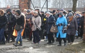 Droga Krzyżowa w intencji trzeźwości w byłym KL Birkenau 2017