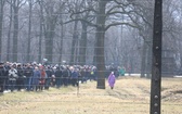 Droga Krzyżowa w intencji trzeźwości w byłym KL Birkenau 2017