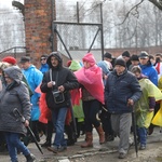 Droga Krzyżowa w intencji trzeźwości w byłym KL Birkenau 2017