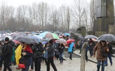 Droga Krzyżowa w intencji trzeźwości w byłym KL Birkenau 2017