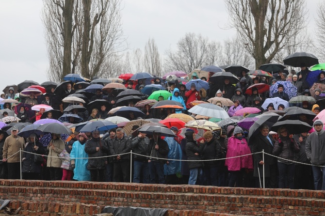 Droga Krzyżowa w intencji trzeźwości w byłym KL Birkenau 2017