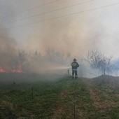 Pożary traw w powiecie sandomierskim 