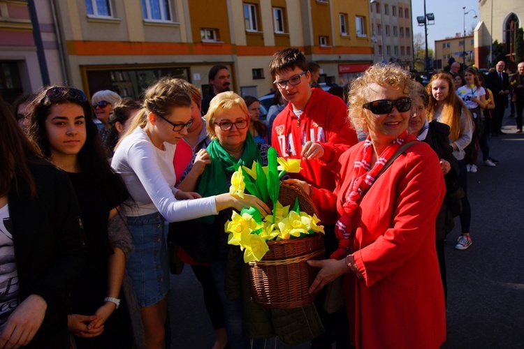 Marsz Żonkilowy w Oławie