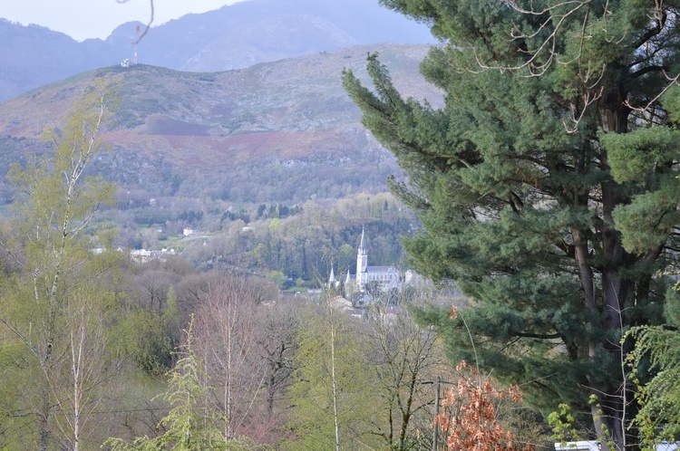 Samolotem prosto do Lourdes