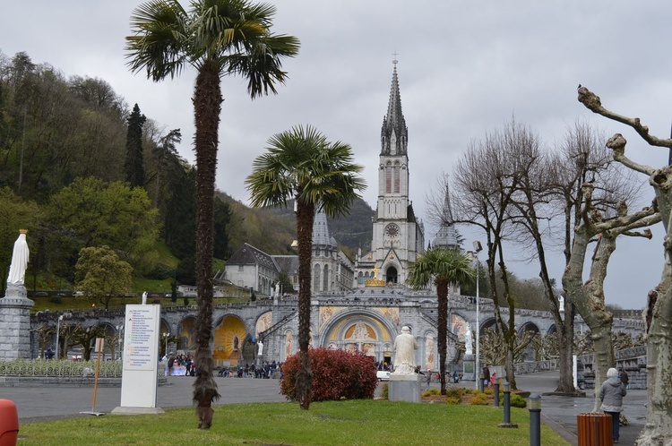 Samolotem prosto do Lourdes