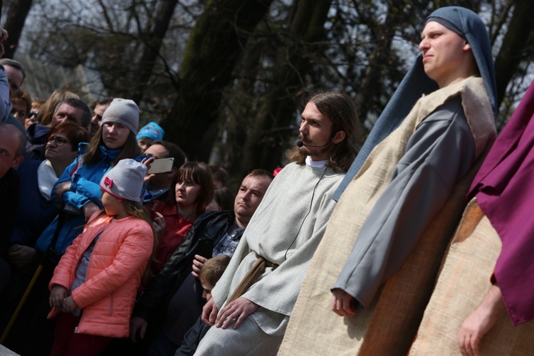 Niedziela Palmowa w Piekarach Śląskich