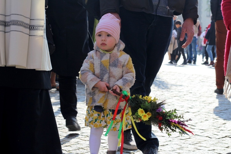 Niedziela Palmowa na Wawelu - 9.04.2017