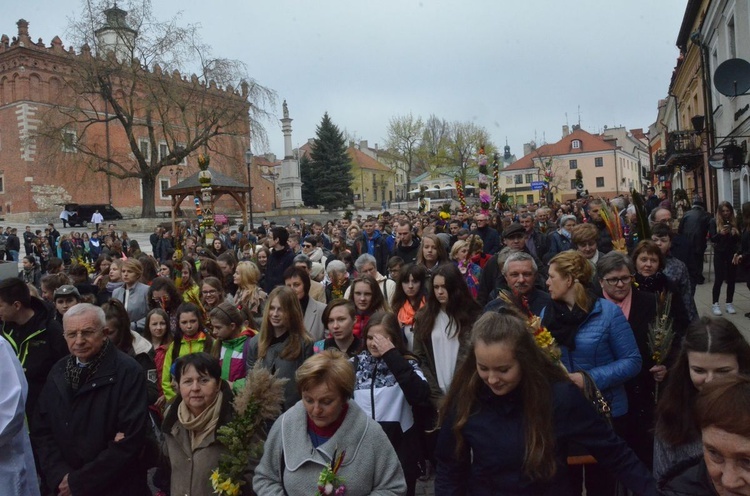 Niedziela Palmowa w Sandomierzu 