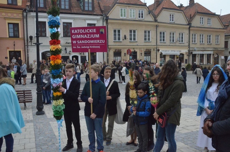 Niedziela Palmowa w Sandomierzu 