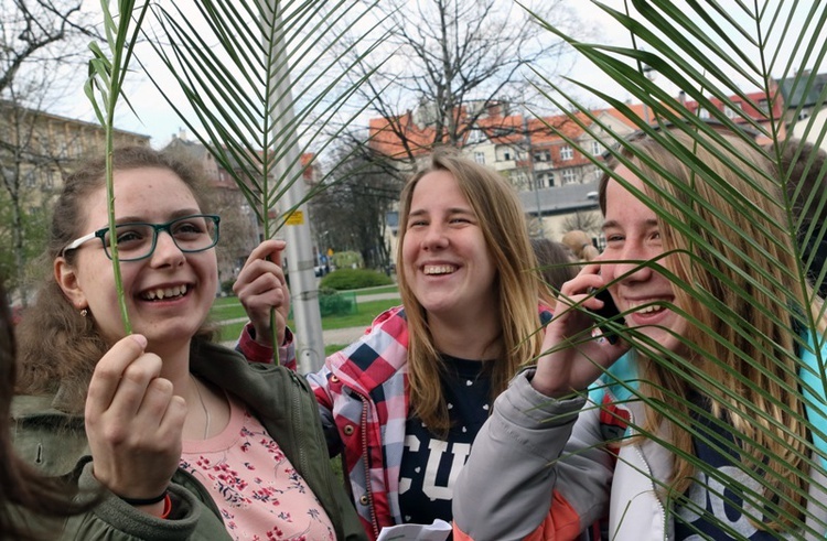 Niedziela Palmowa w Katowicach