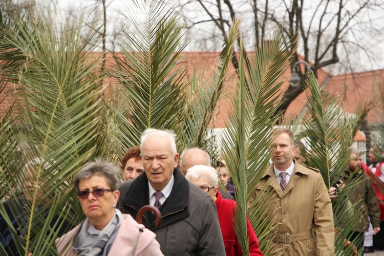 Niedziela Palmowa w Łowiczu