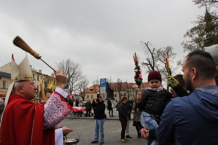 Niedziela Palmowa w Łowiczu