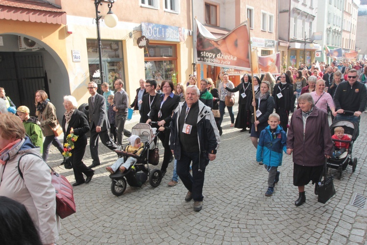 IX Marsz Dla Życia i Rodziny cz. 1