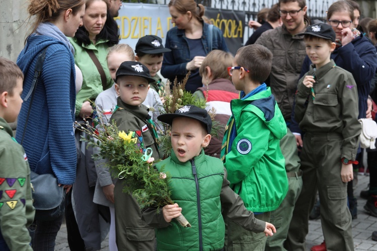 Niedziela Palmowa młodych w bielskiej katedrze - 2017