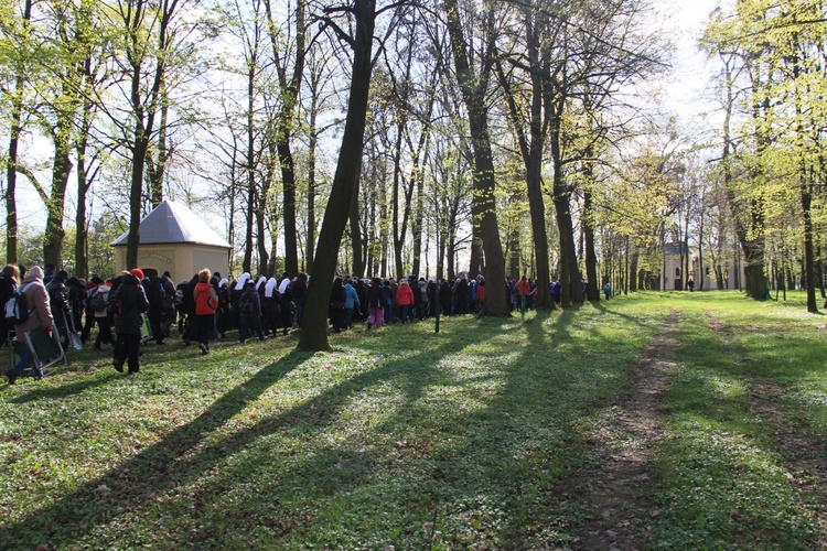 Droga Krzyżowa na kalwarii w Wielki Piątek