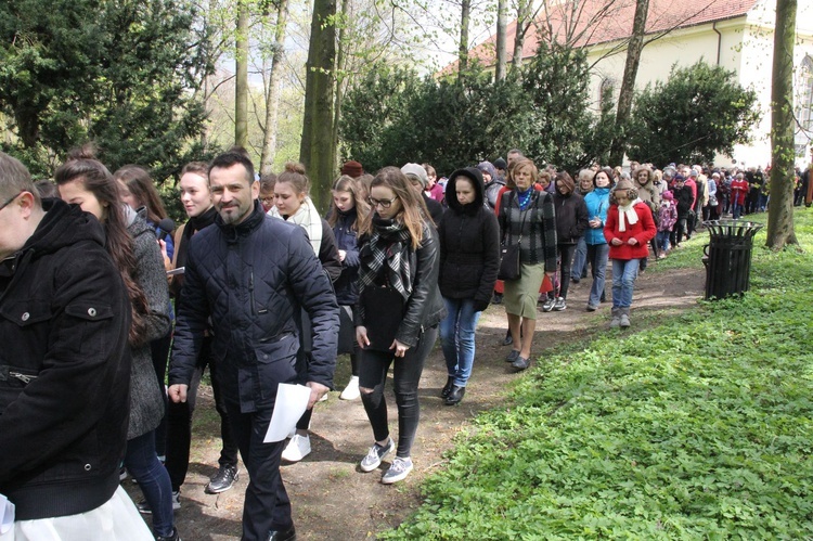 Nabożeństwo w dzikowskim parku