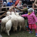 Święcenie pokarmów wspólnie z owieczkami 