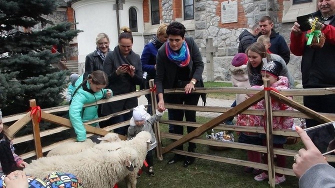 Święcenie pokarmów wspólnie z owieczkami 