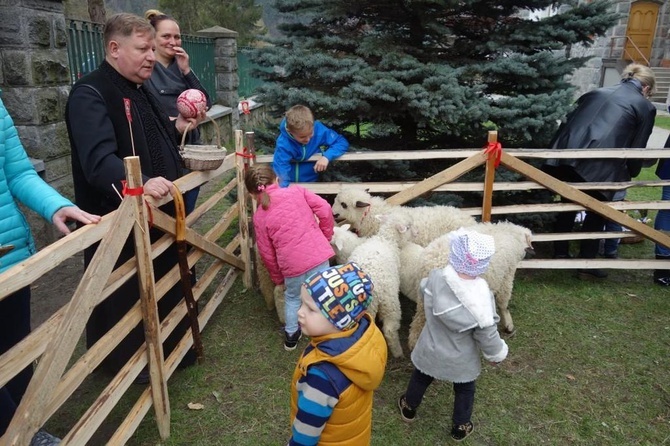 Święcenie pokarmów wspólnie z owieczkami 