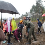 Święto Lasu w Radomiu