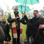 Święto Lasu w Radomiu